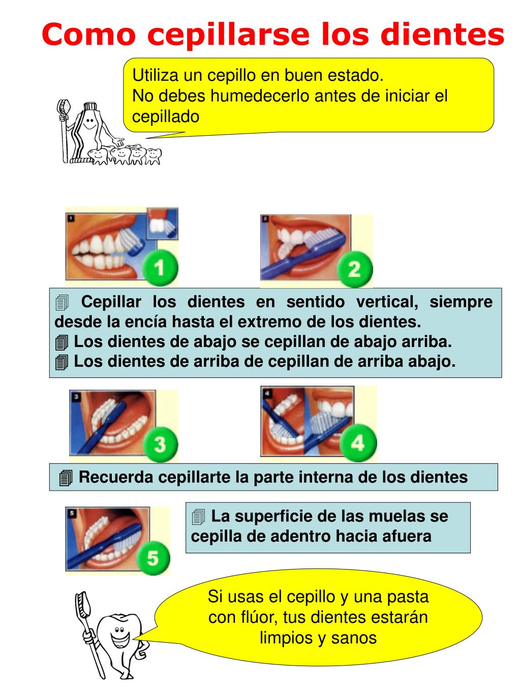 Resultado de imagen de tecnica de cepillado dental