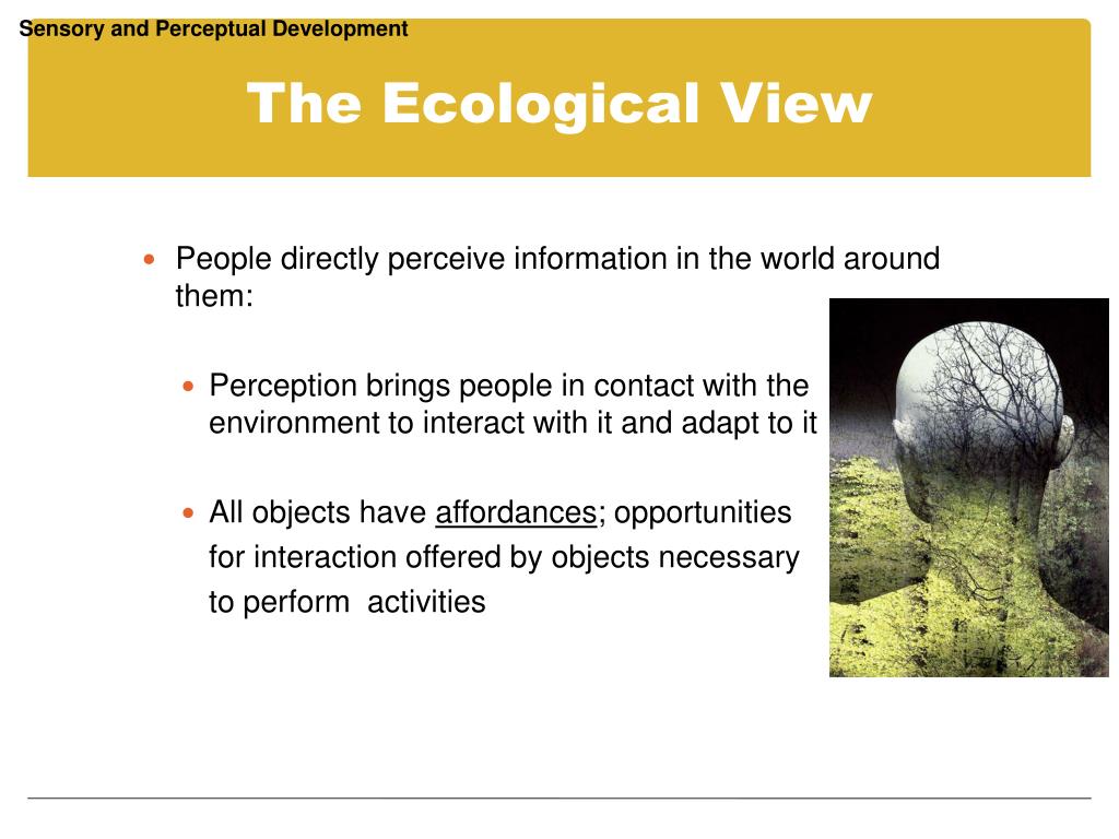 view digital systems for open access