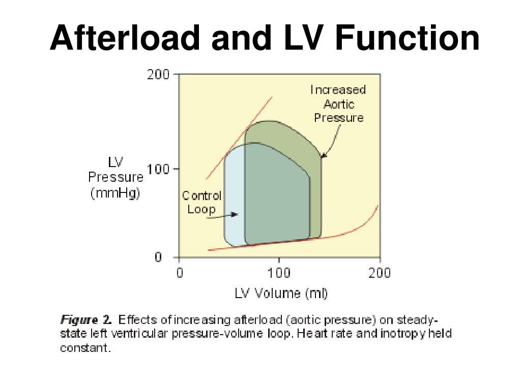 PPT - Left Ventricular Function Frank-Starling Principle Left Ventricular Failure PowerPoint ...