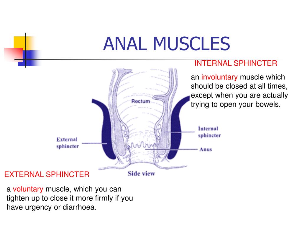 Anal Exercises 69