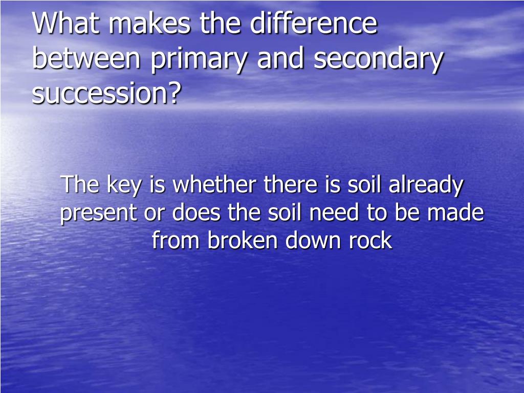 primary and secondary succession primary and secondary succession