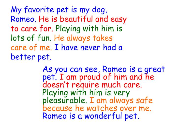 My favorite dog essay