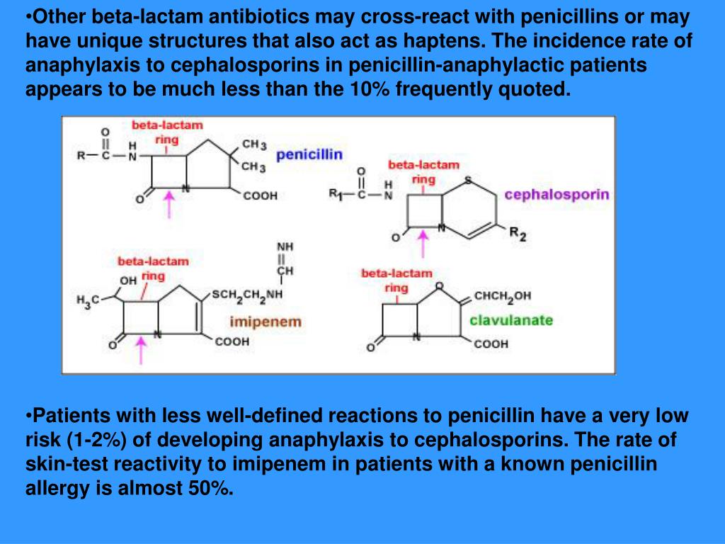 beta lactam allergy cross reactivity chart