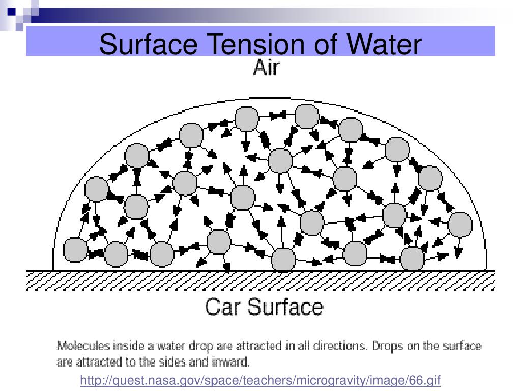 PPT Water and Aqueous Systems PowerPoint Presentation ID565121