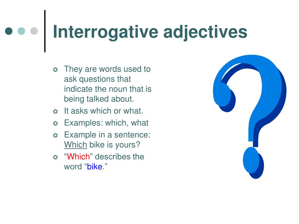 100-examples-of-interrogative-adjectives-word-coach