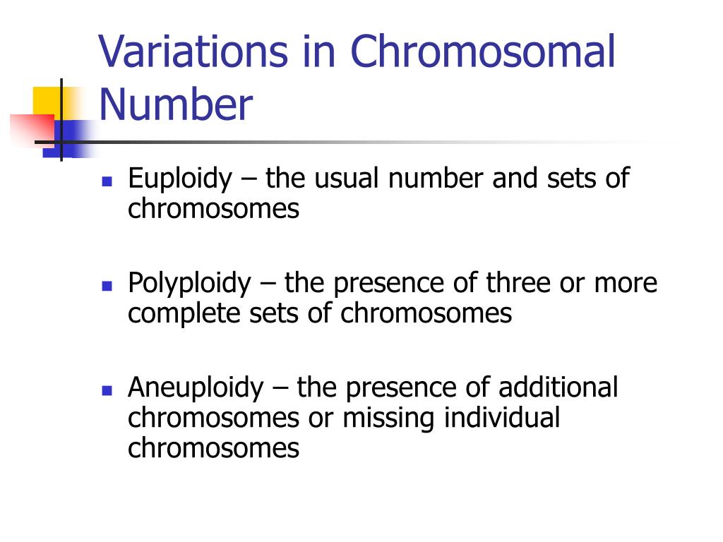 Ppt Chromosomal Variations Powerpoint Presentation Id567181 9926