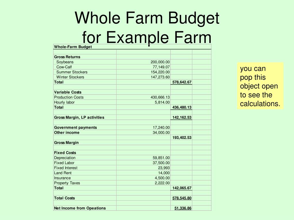 PPT Whole Farm Budget PowerPoint Presentation ID 576248