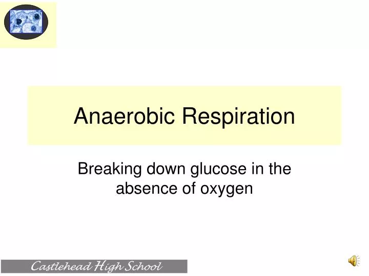 Equation For Respiration Talkchannels Ppt Anaerobic Respiration Powerpoint Presentation Id 584305