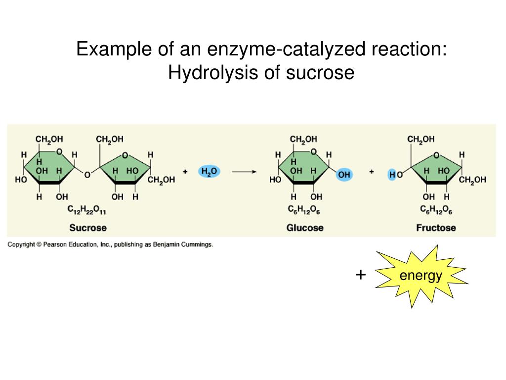 PPT Endergonic and Exergonic Reactions PowerPoint Presentation ID