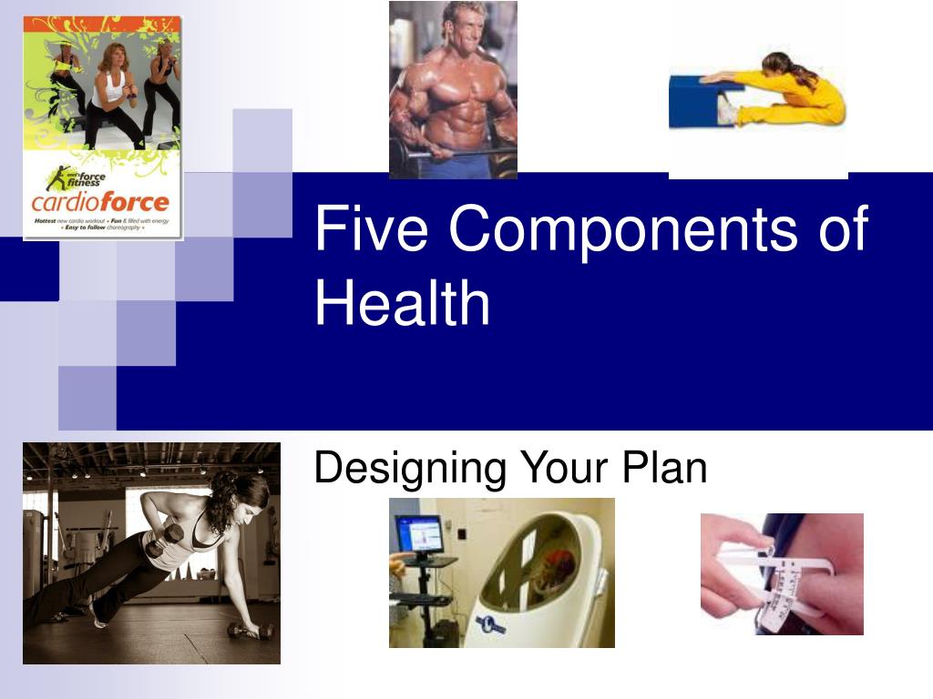 essay on the three principles of fitness fit essay on the three principles of fitness fit