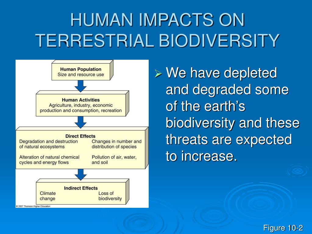 human effects on biodiversity Human impact on the environment or anthropogenic impact on the environment includes changes to biophysical environments and ecosystems, biodiversity, and natural resources caused directly or indirectly by humans, including global warming, environmental degradation (such as ocean acidification), mass extinction and biodiversity loss, ecological. human effects on biodiversity Human impact on the environment or anthropogenic impact on the environment includes changes to biophysical environments and ecosystems, biodiversity, and natural resources caused directly or indirectly by humans, including global warming, environmental degradation (such as ocean acidification), mass extinction and biodiversity loss, ecological.