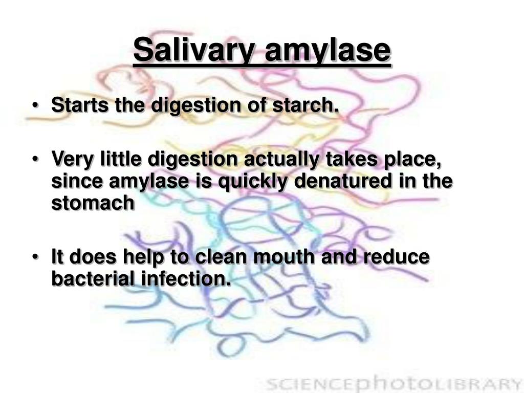 PPT Chemistry of Digestion PowerPoint Presentation ID636642