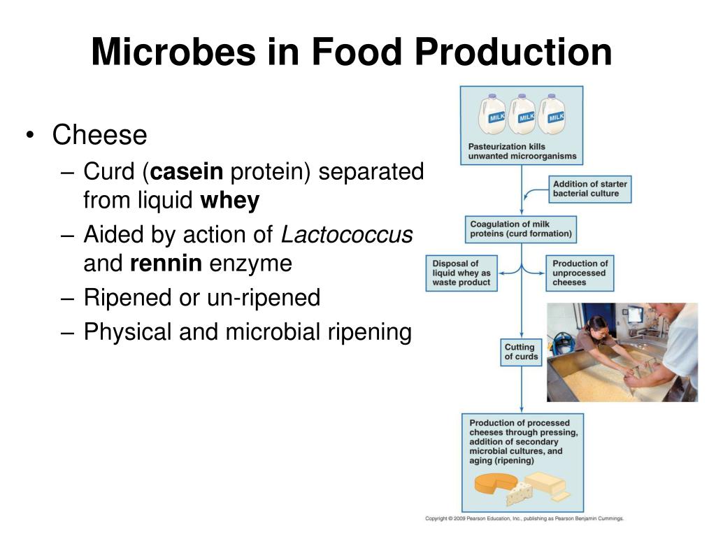 PPT Chapter 28 PowerPoint Presentation ID668358
