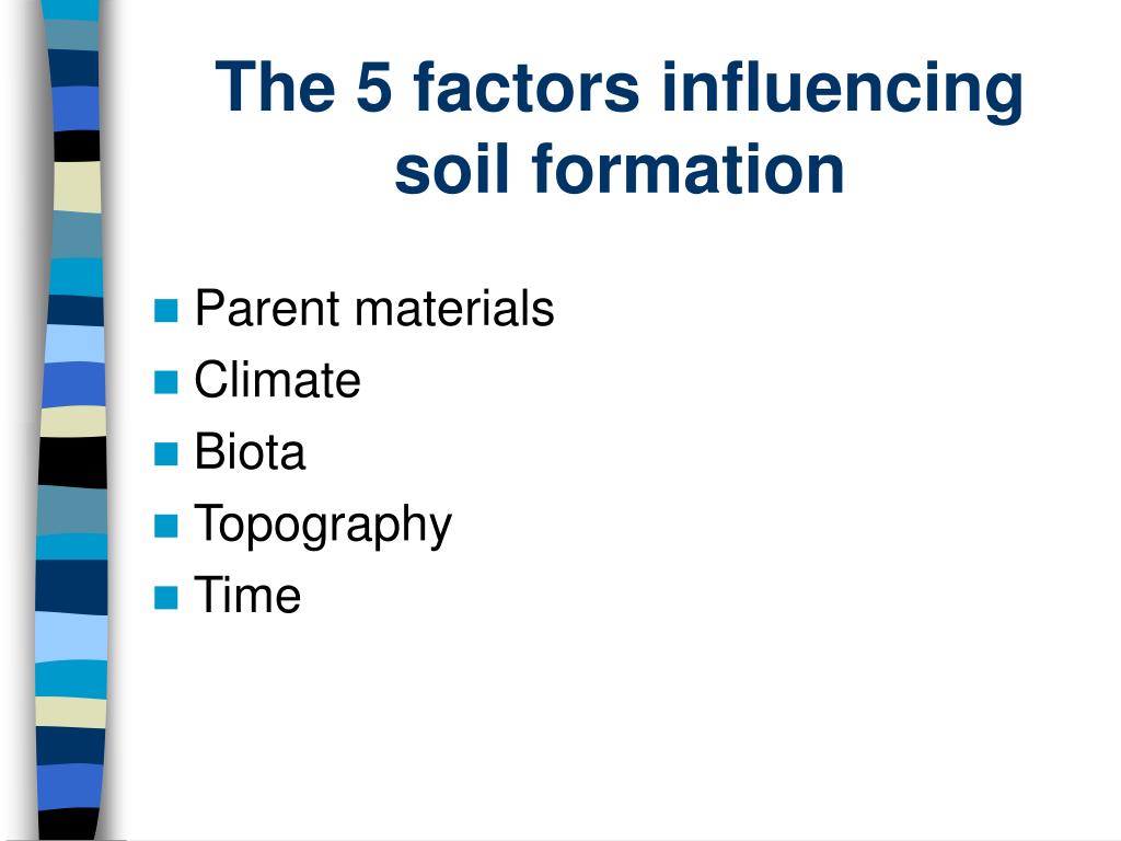Factors Influencing Soil Formation