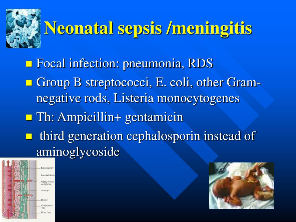 Ivermectin dosing for scabies