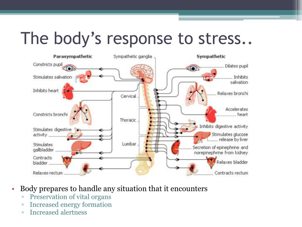 combination therapy in hypertension