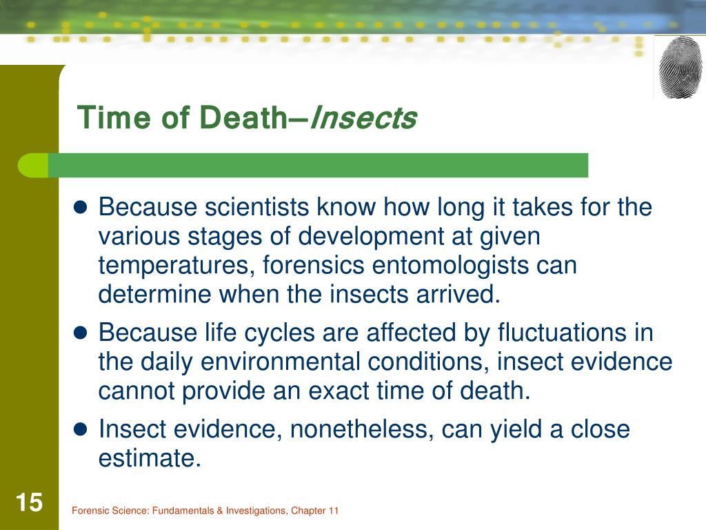 ppt-chapter-11-death-manner-mechanism-cause-and-time-powerpoint-presentation-id-709342