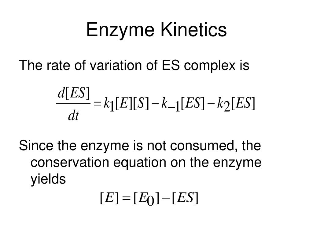 a study of enzyme kinetics Enzyme kinetics michealis menton enzyme kinetics enzyme kinetics is the study of the chemical reactions that are catalysed by enzymes in enzyme kinetics. a study of enzyme kinetics Enzyme kinetics michealis menton enzyme kinetics enzyme kinetics is the study of the chemical reactions that are catalysed by enzymes in enzyme kinetics.