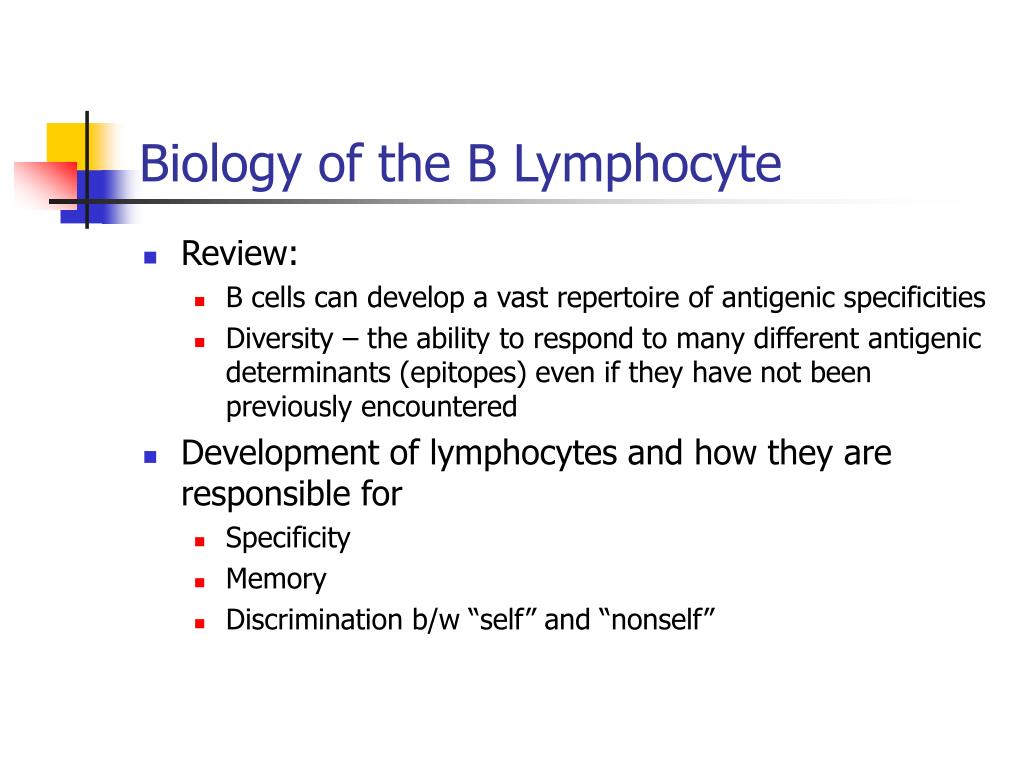 download from mems to bio mems and bio