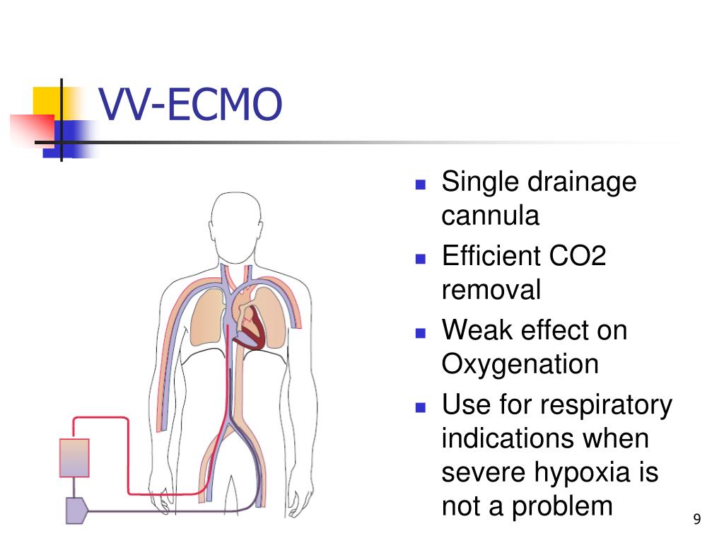 extracorporeal membrane oxygenation ecmo You know that venovenous extracorporeal membrane oxygenation (ecmo) is an option for patients like mr jackson who have severe ards, but its use has been controversial, and you are not sure. extracorporeal membrane oxygenation ecmo You know that venovenous extracorporeal membrane oxygenation (ecmo) is an option for patients like mr jackson who have severe ards, but its use has been controversial, and you are not sure.