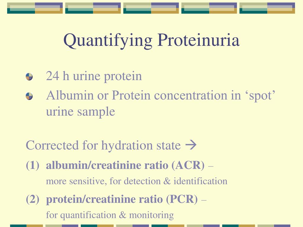 PPT - Proteinuria in the Diagnosis & Management of Kidney Disease