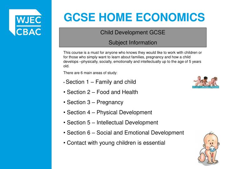 child and young person development 2 essay child and young person development 2 essay