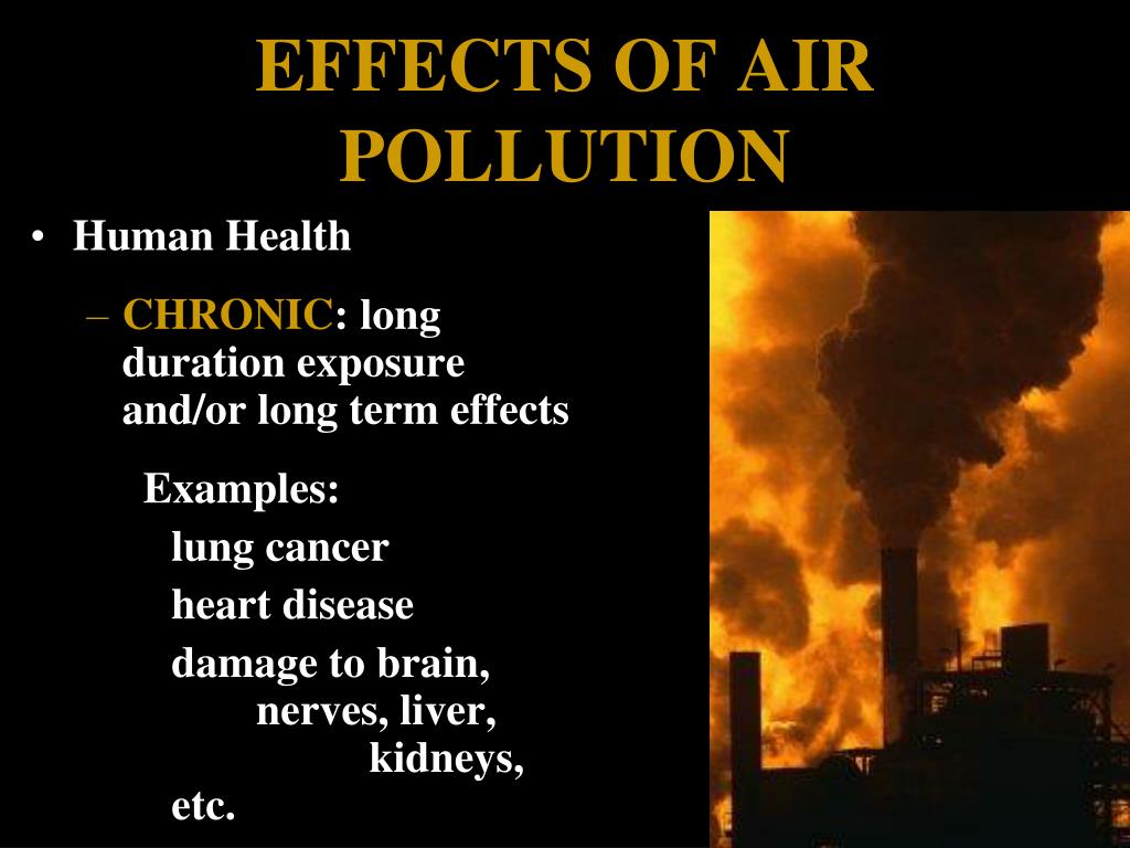 The Effects Of Air Pollution On The