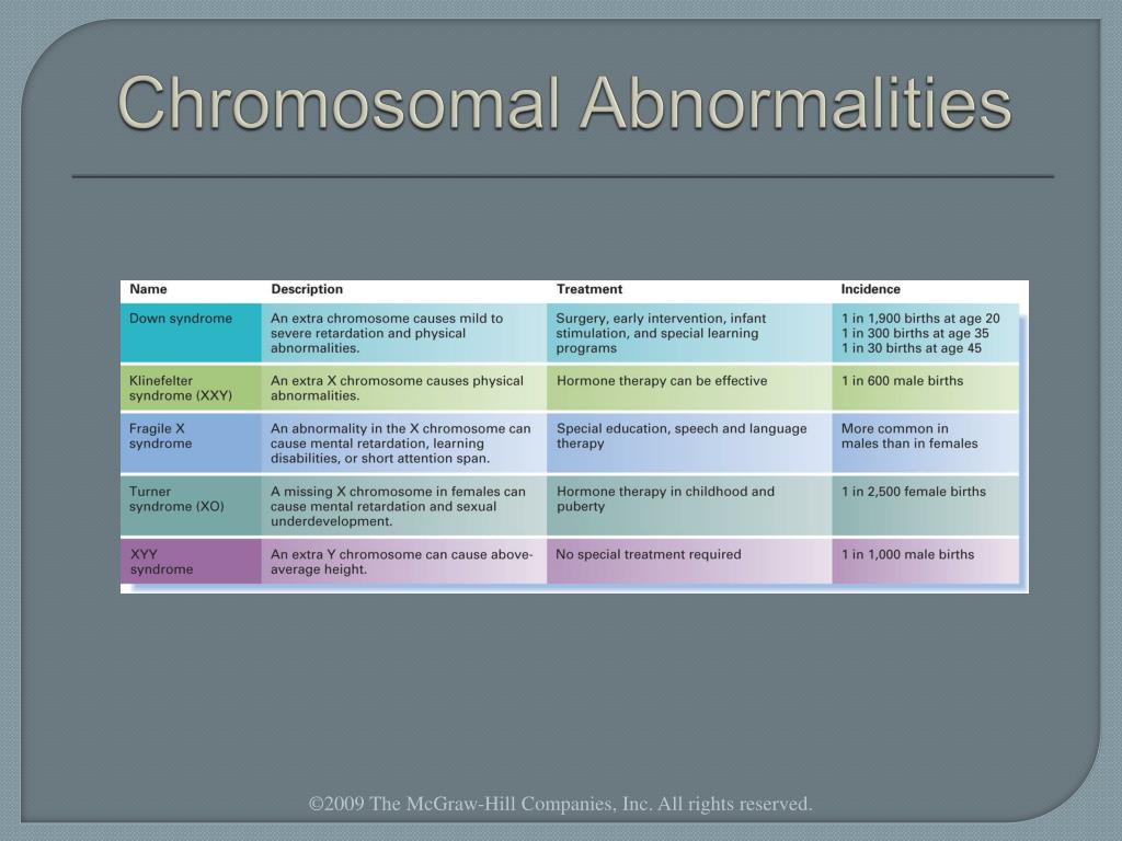 Ppt Chapter 2 Biological Beginnings Powerpoint Presentation Id 736148