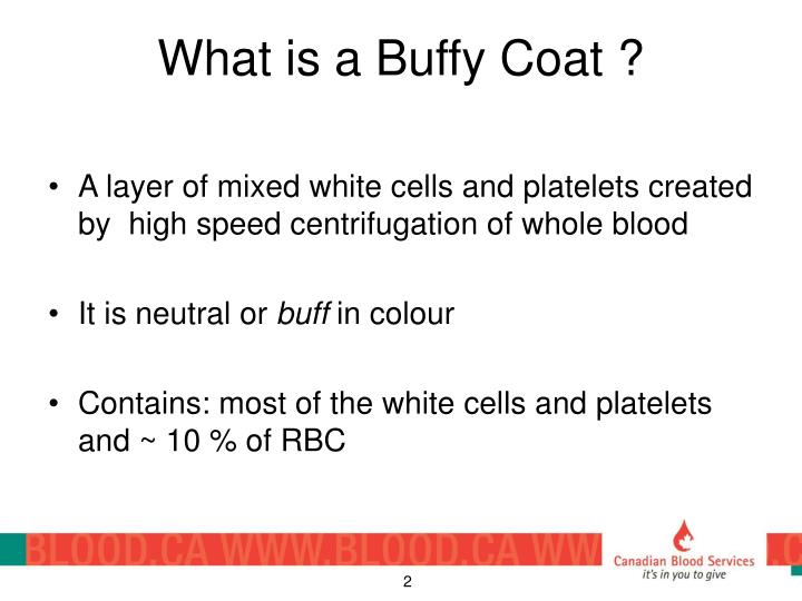 ppt-buffy-coat-platelet-production-project-changes-to-blood