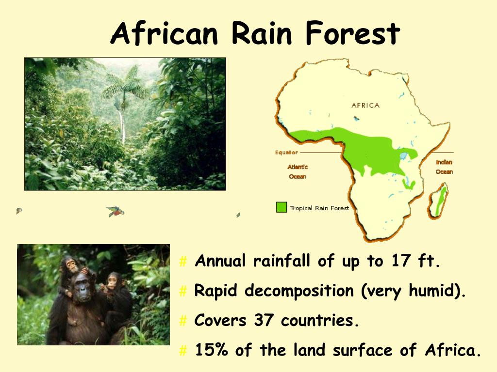 PPT The Geography of Africa PowerPoint Presentation ID755524