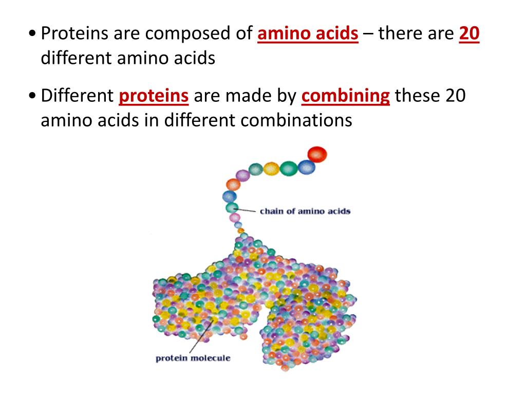 an analysis of gene expression or protein synthesis Genes, chromosomes, & protein synthesis genes, chromosomes, & protein synthesis by • involved in dna replication + gene expression • organized as nucleosomes. an analysis of gene expression or protein synthesis Genes, chromosomes, & protein synthesis genes, chromosomes, & protein synthesis by • involved in dna replication + gene expression • organized as nucleosomes.