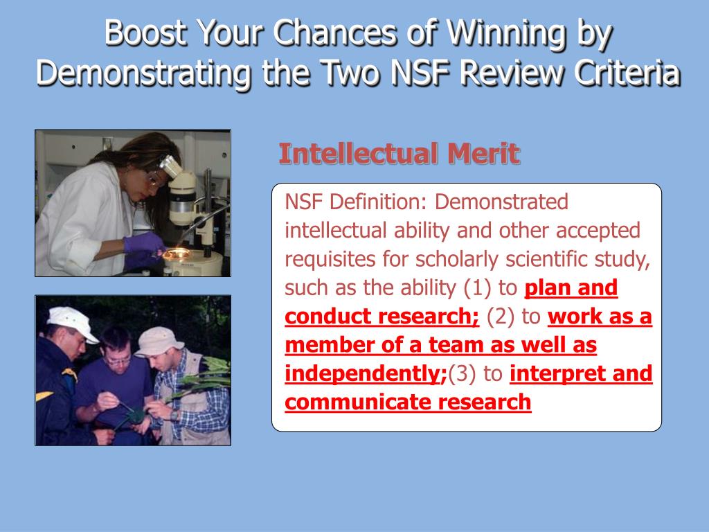 nsf research experience essay nsf research experience essay