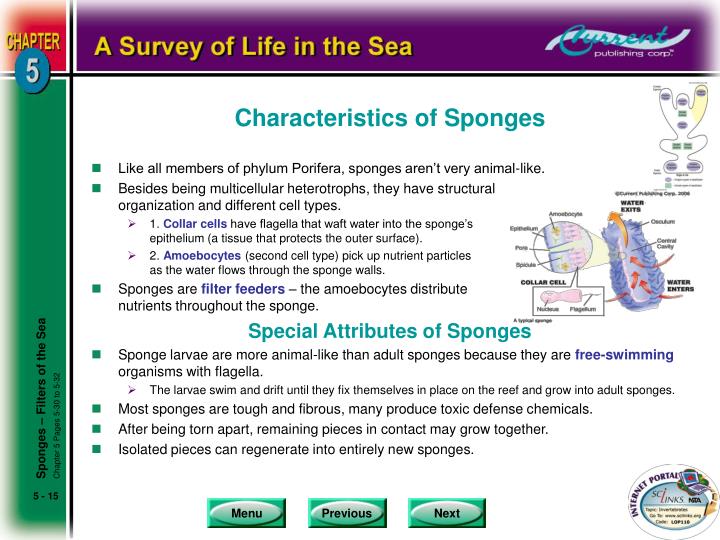 PPT Choose to view chapter section with a click on the section heading. PowerPoint