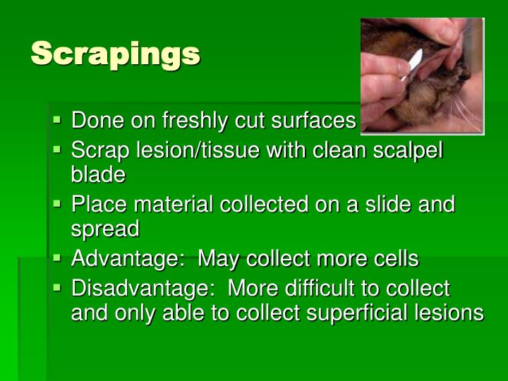 PPT Cytology and Cytological Techniques PowerPoint Presentation ID