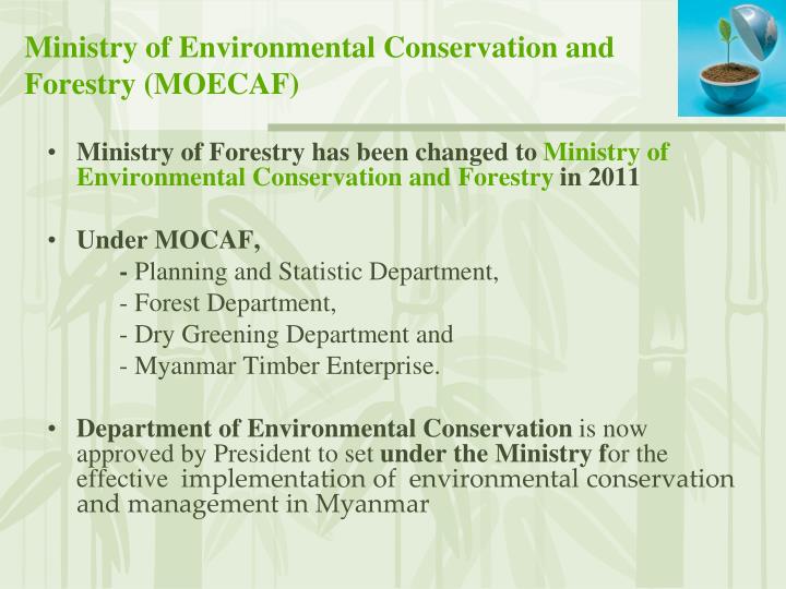 Ministry of Forestry