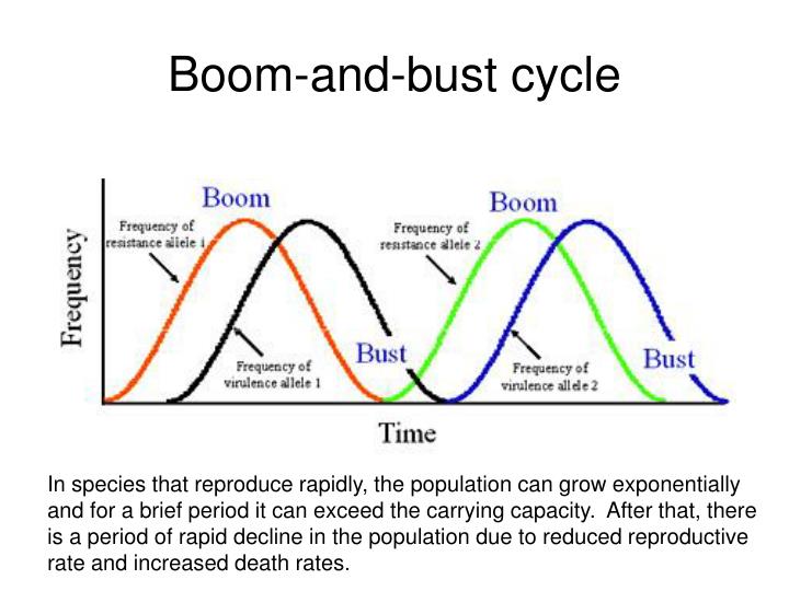 Boom Bust Cycle Holland Teenpornclips