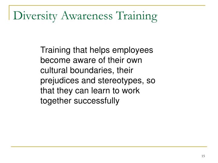 diversity awareness training