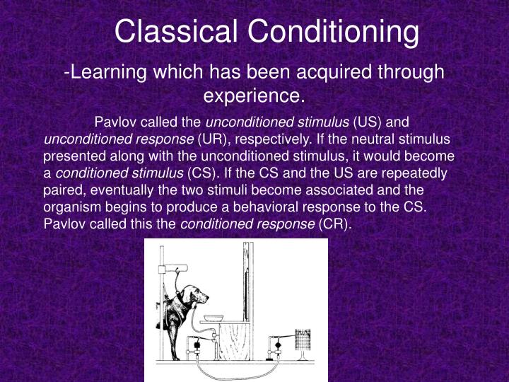 pavlov theory pavlov theory