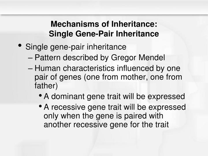 basic-features-of-mechanism-of-inheritance
