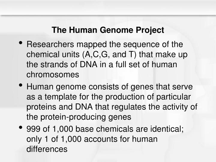 an overview of the objectives of the human genome project The human genome project, part 2 public vs private efforts to map the human genome who are the major competition for the hgp what technique is the hgp using and. an overview of the objectives of the human genome project The human genome project, part 2 public vs private efforts to map the human genome who are the major competition for the hgp what technique is the hgp using and.