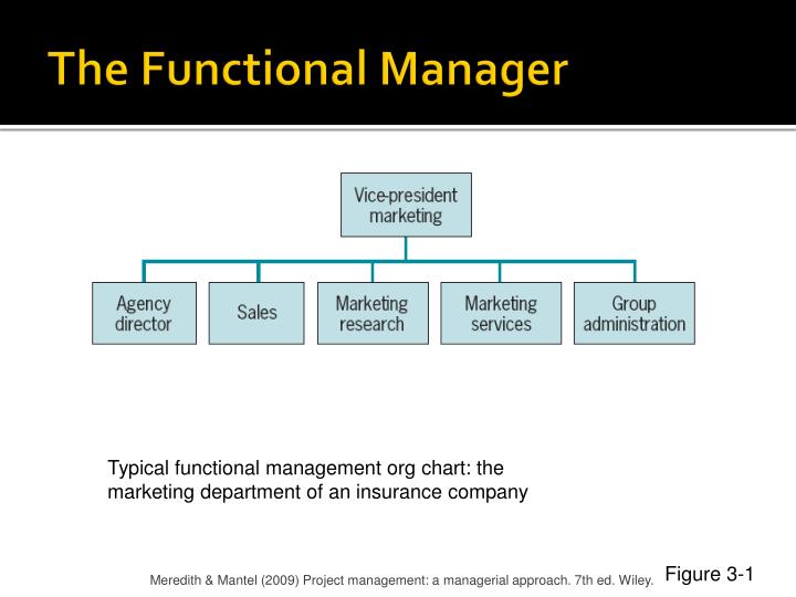 Difference Between Functional Manager and Project Manager