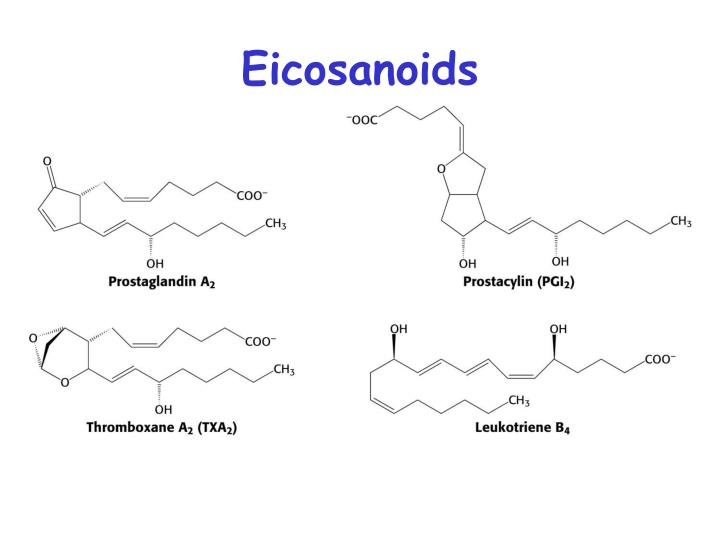 pdf spontaneous phenomena a