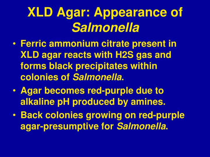 xld agar results xld agar results