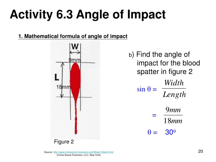 PPT - Lesson 6 Blood Spatter Analysis PowerPoint Presentation - ID:840729