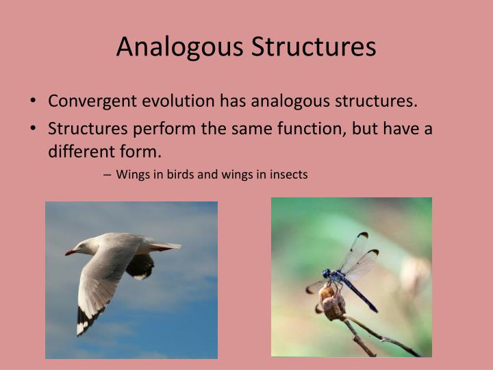 download free analogous structures download free analogous structures
