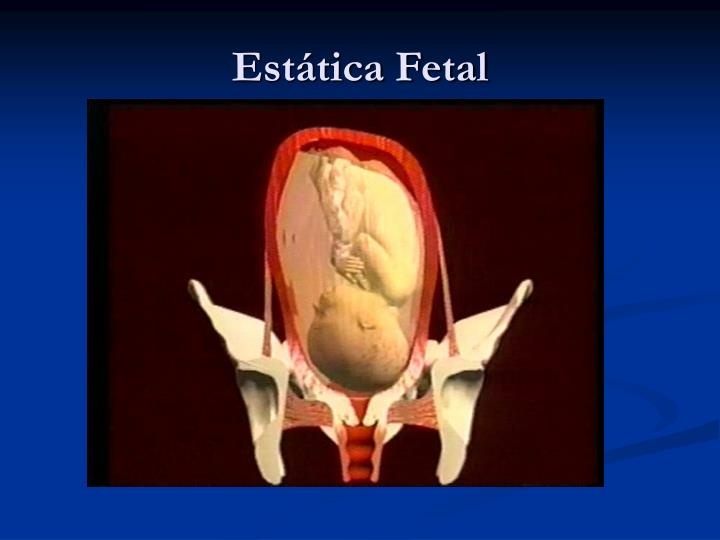 Ppt Semiologia Obst Trica Mecanismo Do Parto Powerpoint Presentation