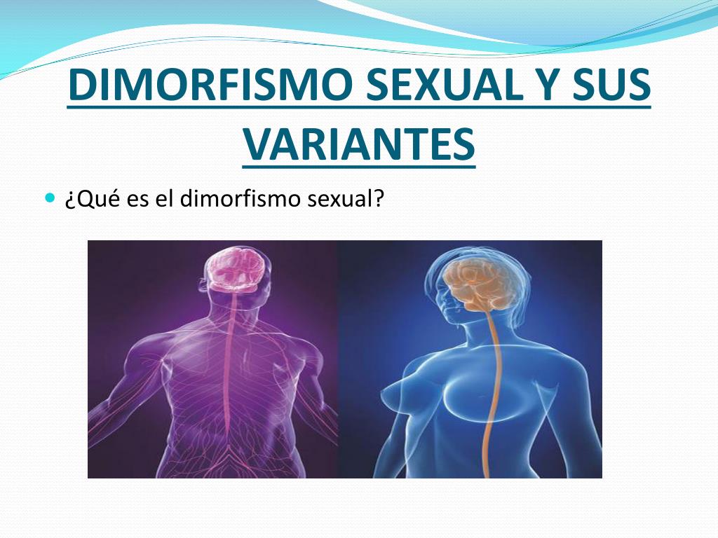 Ppt Neuroendocrinolog A Del Desarrollo Madurez Sexual Dimorfismo