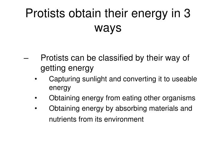 PPT Singlecelled organisms have all the characteristics of living