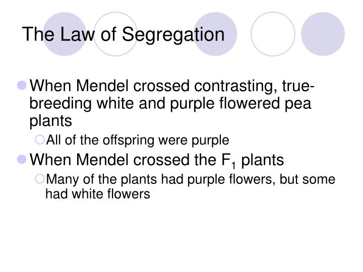 PPT Chapter 14 PowerPoint Presentation ID870827