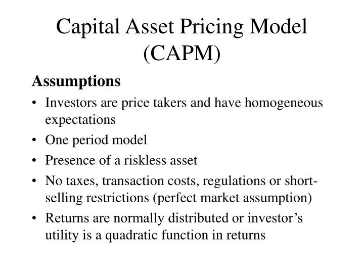 capital asset pricing model essay capital asset pricing model essay